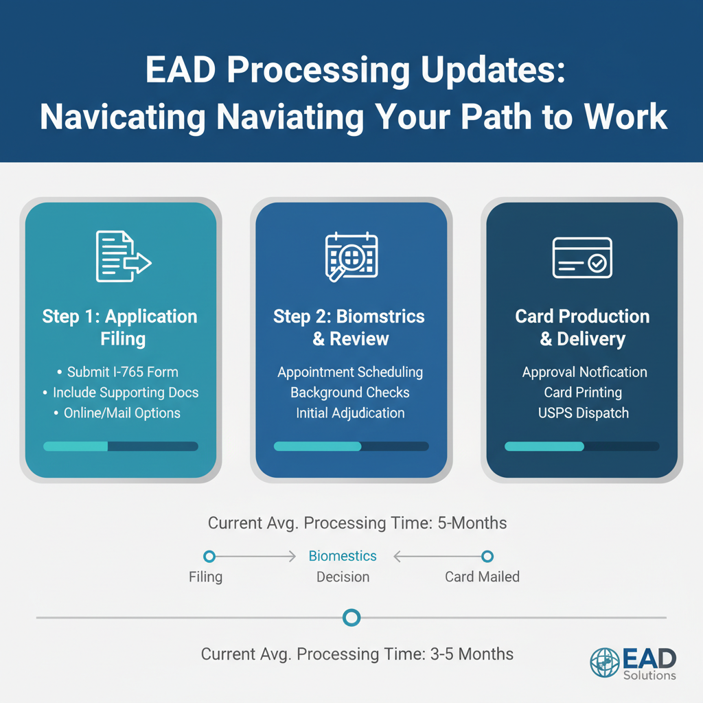 EAD Processing Updates: Navigating Your Path to Work - Key Statistics