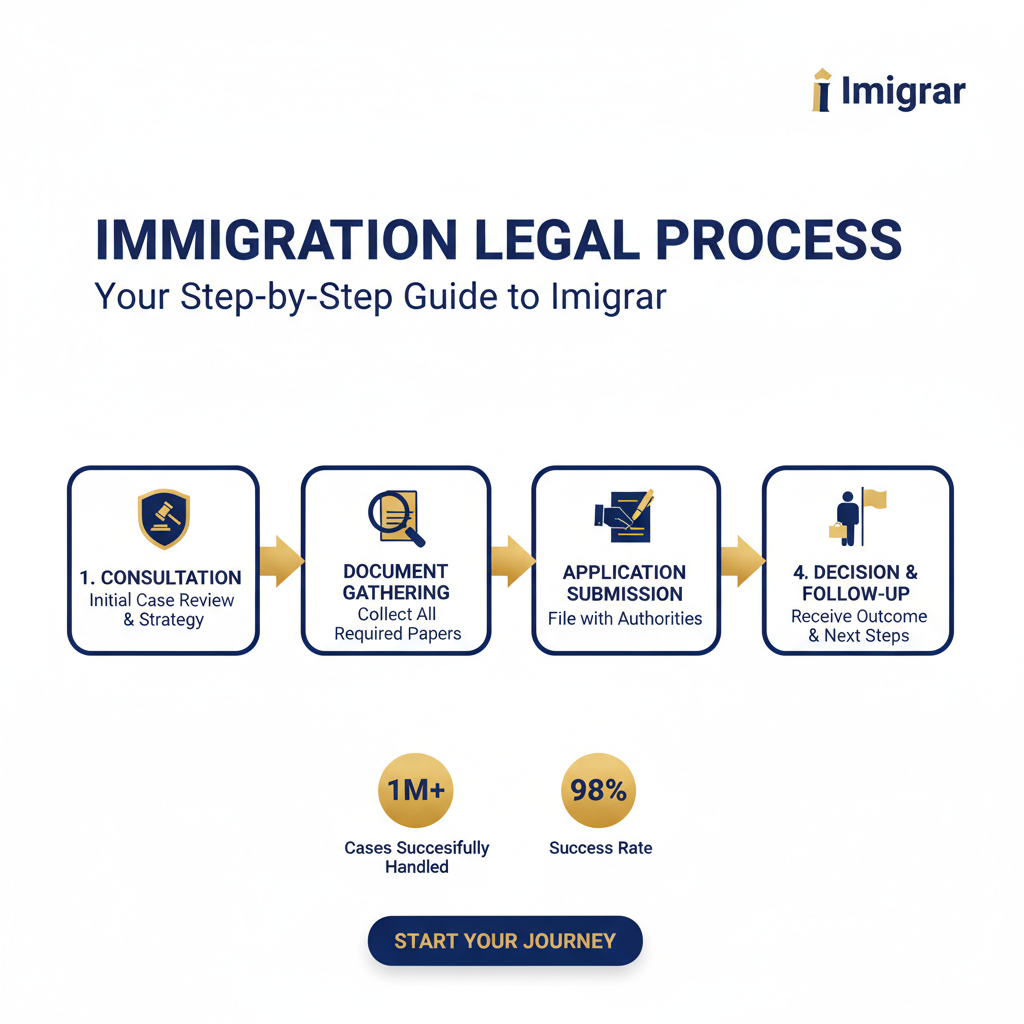 Immigration process infographic