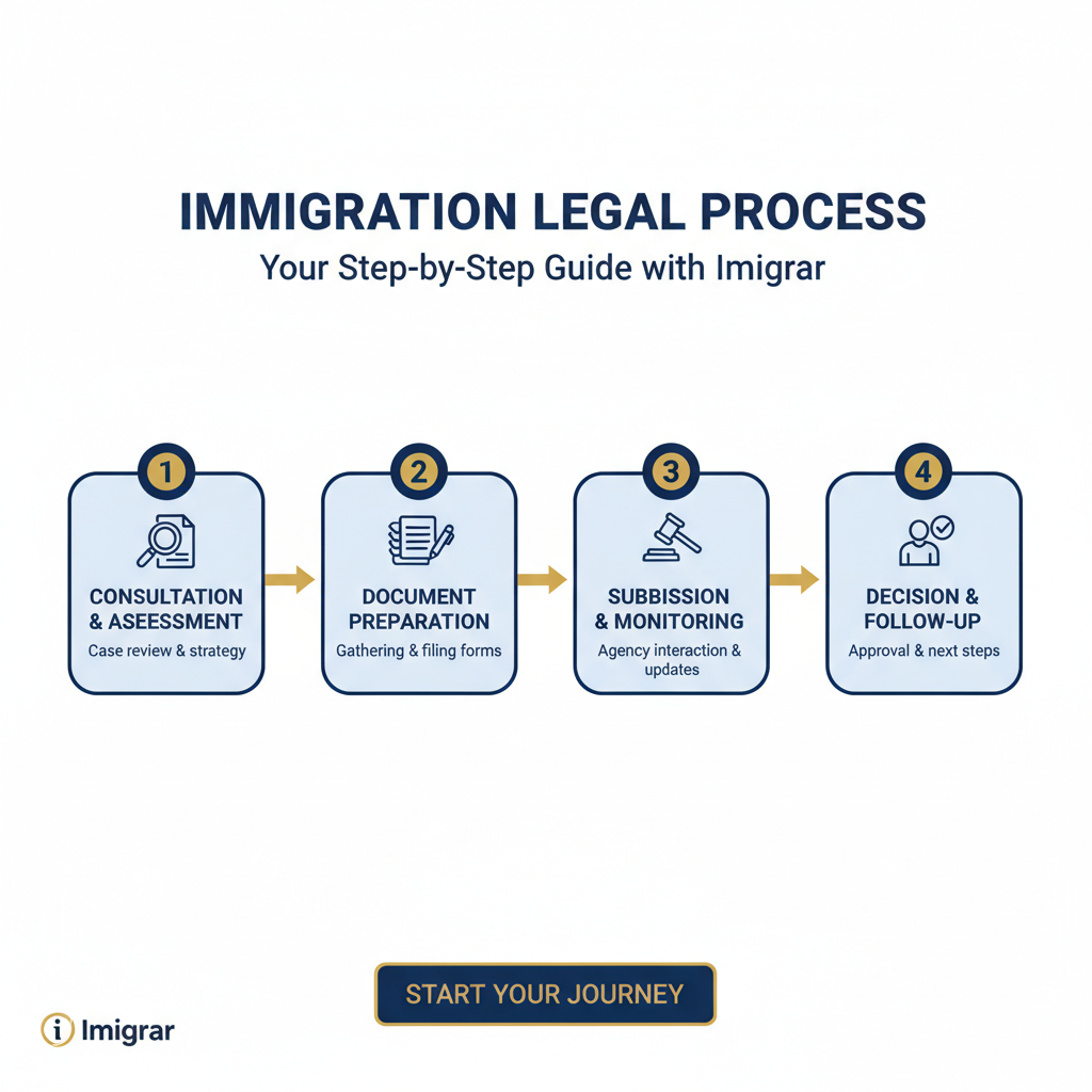 Immigration process infographic
