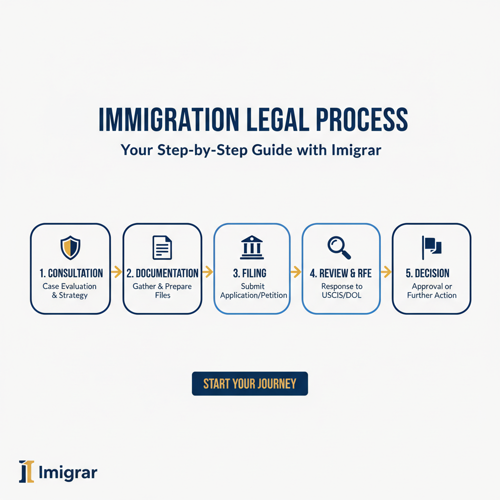 Immigration process infographic
